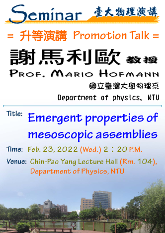 Emergent properties of mesoscopic assemblies
