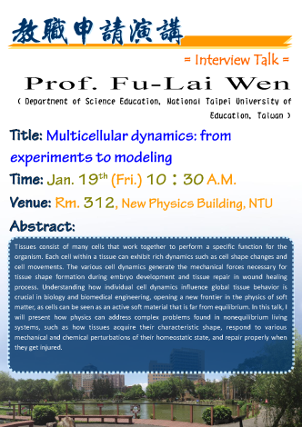 Multicellular dynamics: from experiments to modeling